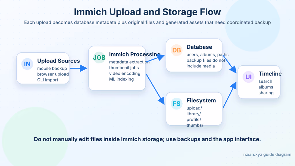  Immich storage and processing flow
